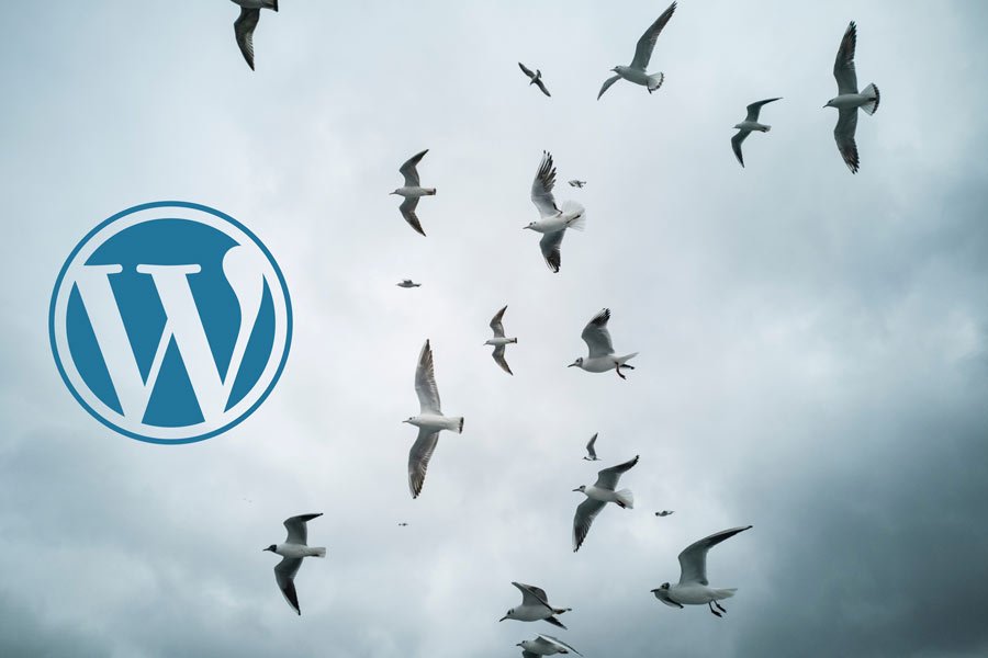 Migrating to WordPress